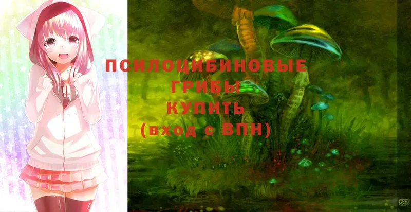 Галлюциногенные грибы Magic Shrooms  как найти   Кузнецк 